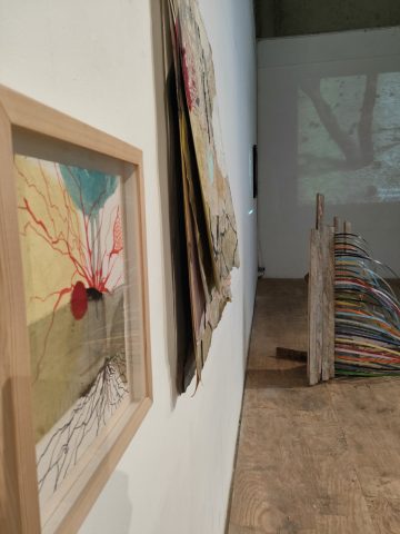 Exposition A-normal 2025